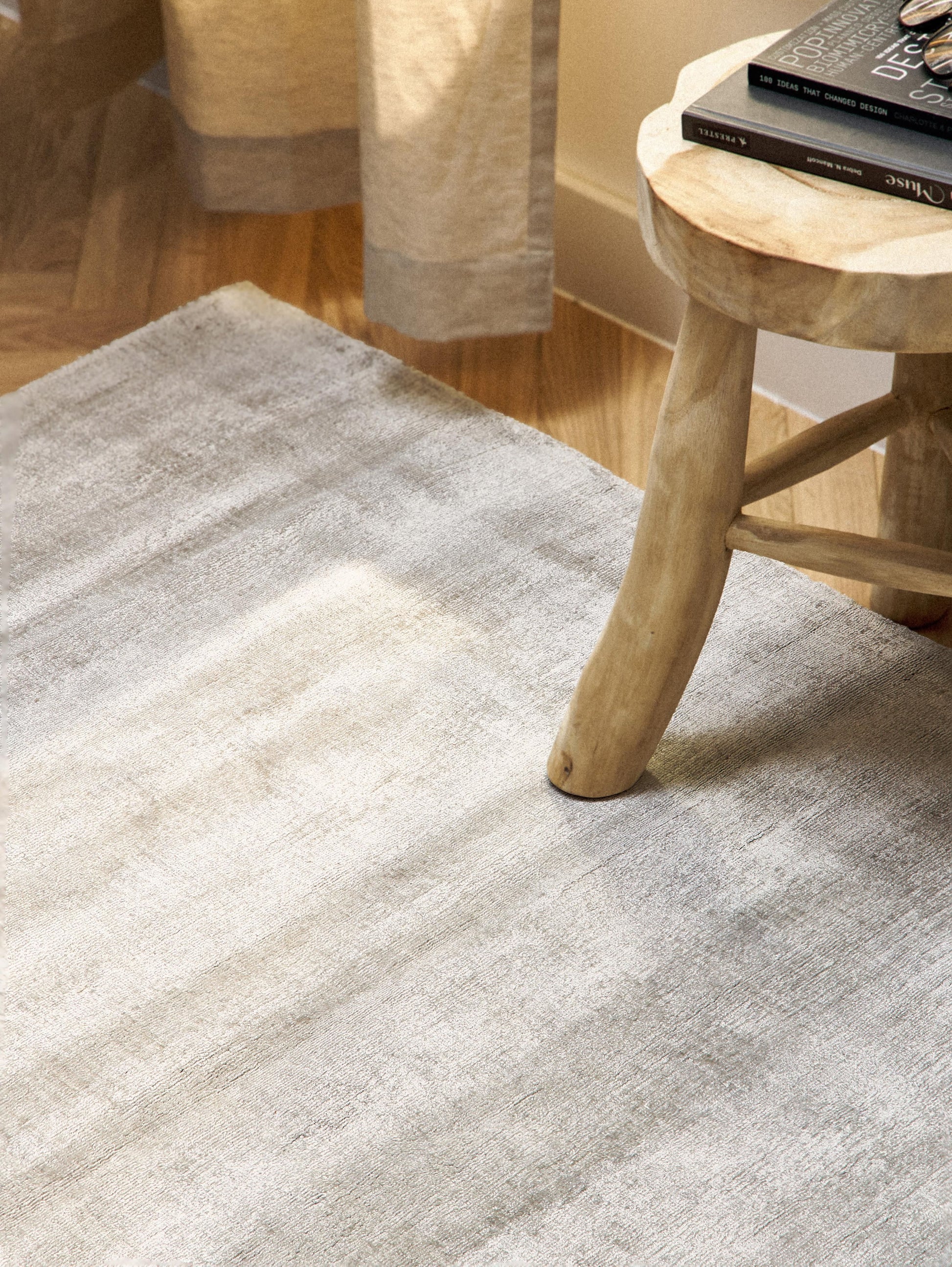Jaline Hand-Woven Viscose Rug